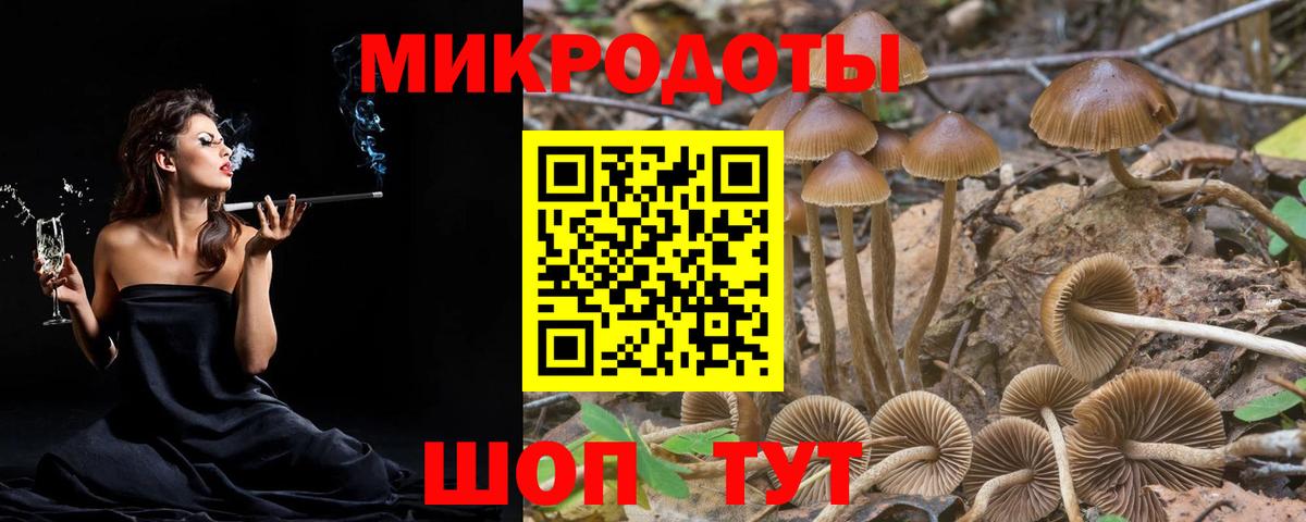 Янаул  Галлюциногенные грибы Cubensis  Псилоцибиновые грибы Cubensis  Вход с VPN 
