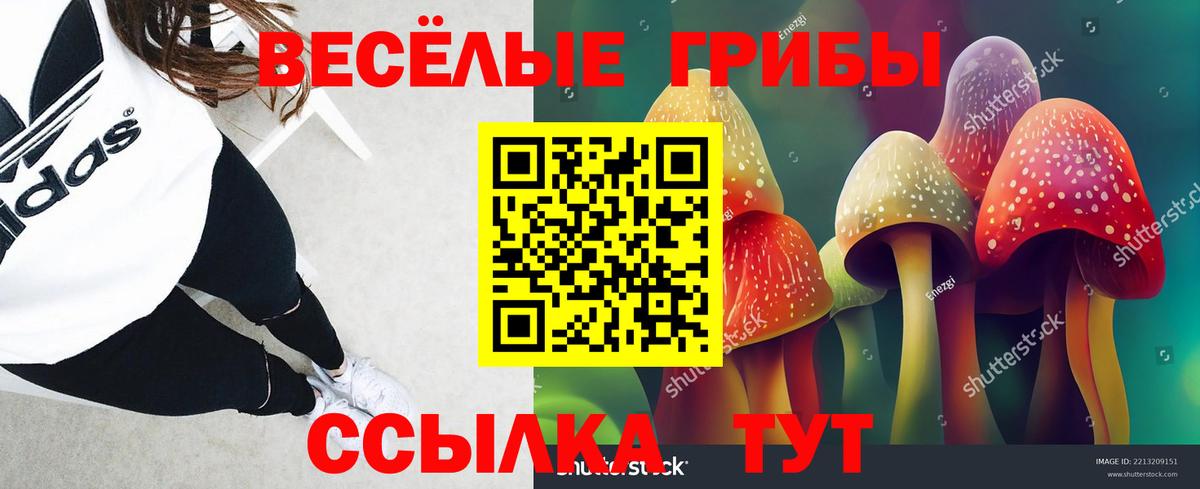 Галлюциногенные грибы мухоморы Янаул